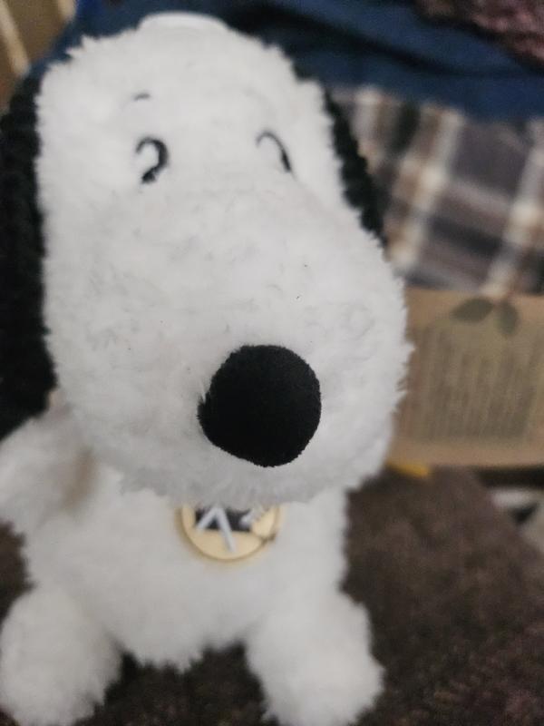 Love my Snoopy!❤️