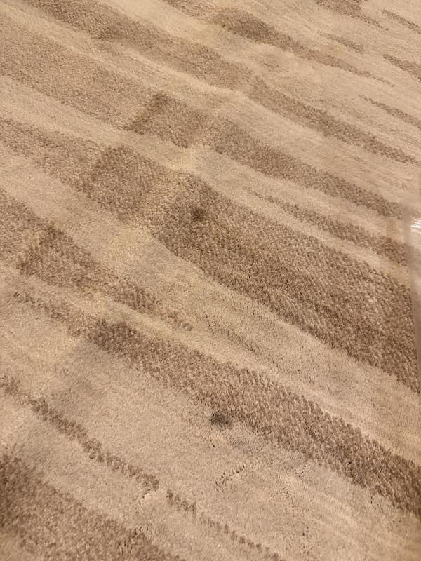 Photo from agent 99712