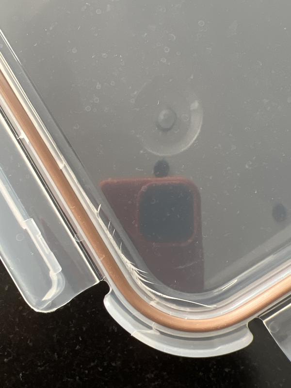 Customer carousel item 2.