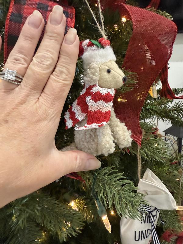 Hand pic for size reference