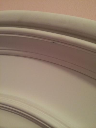 Photo from LindaNY