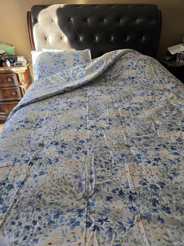 Photo from ReviewingRocks