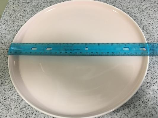 generously sized plate