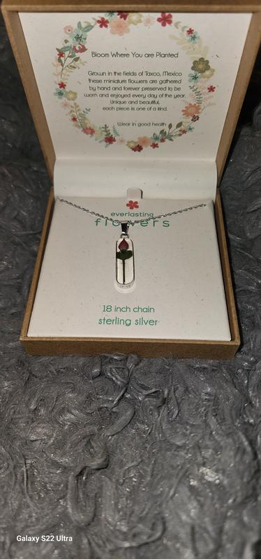 Photo from Cart