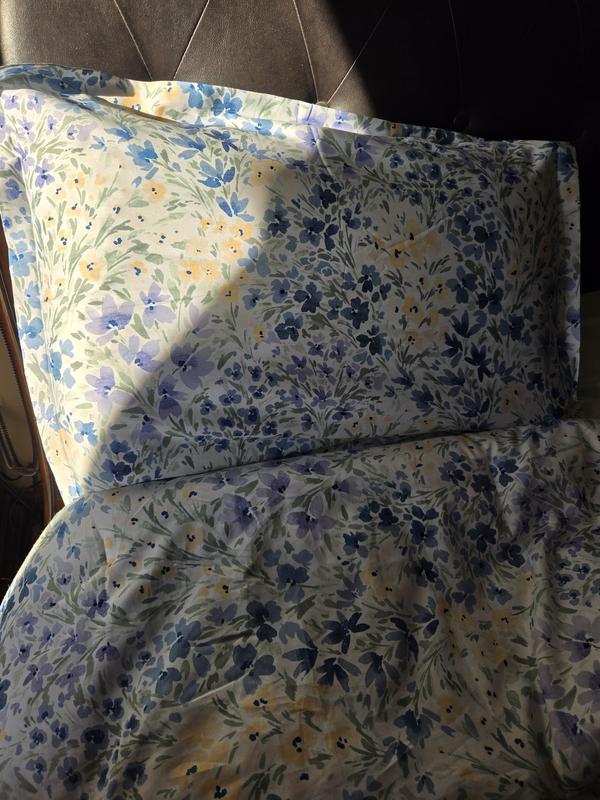 Photo from ReviewingRocks