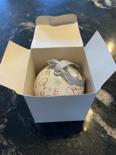 Outer box plus ornament packaging