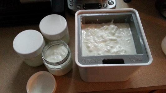 Using the strainer to make Greek style yogurt