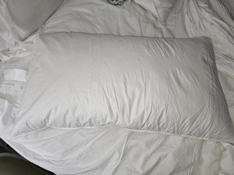 Photo from Esskaytee