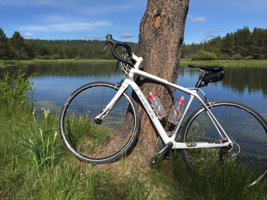 Biking around Sunriver. One of our views.