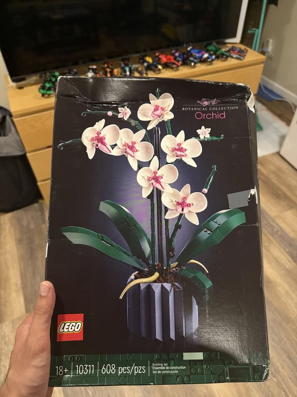 Photo from Ham