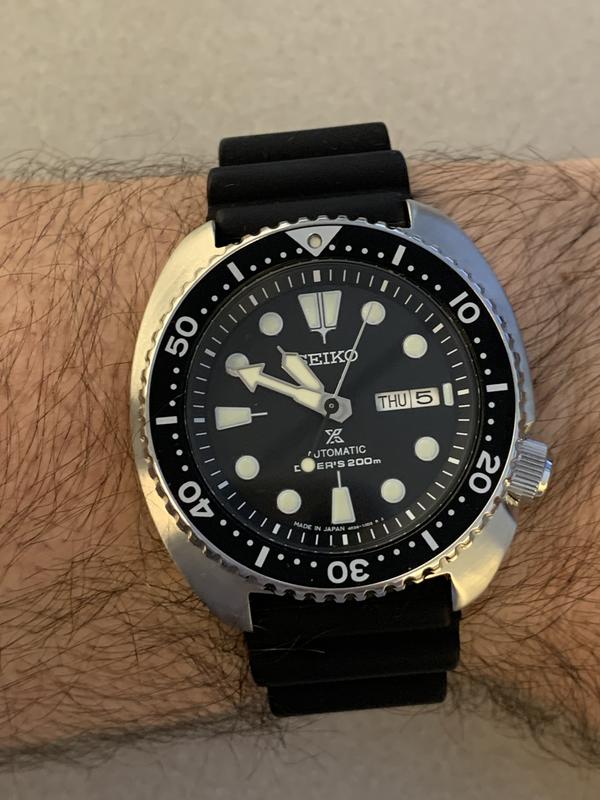 Photo from Turtle Fan