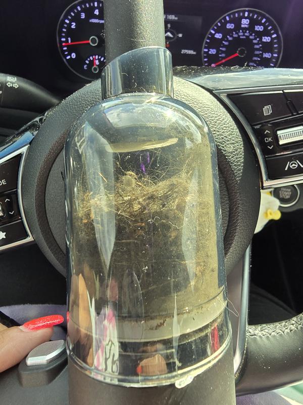 Photo from IndyChick70