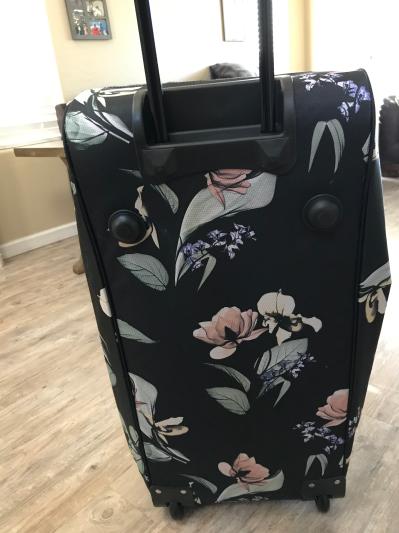 Back view