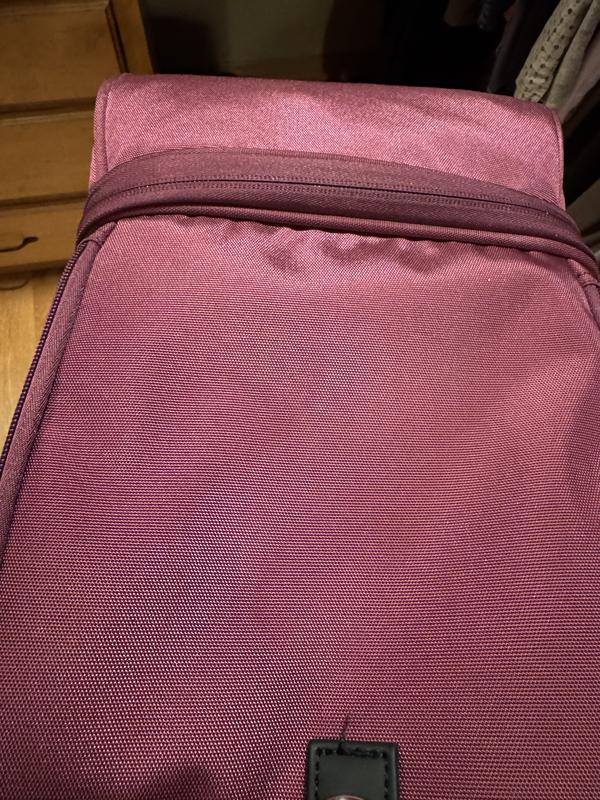 My new purchase of a used bag. ☹️