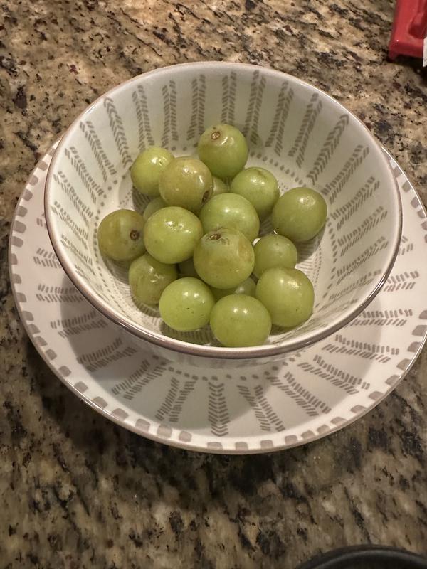 Photo from Keeping it real