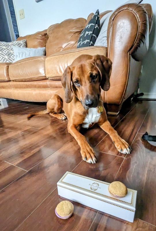 Photo from Happy Dog Mom