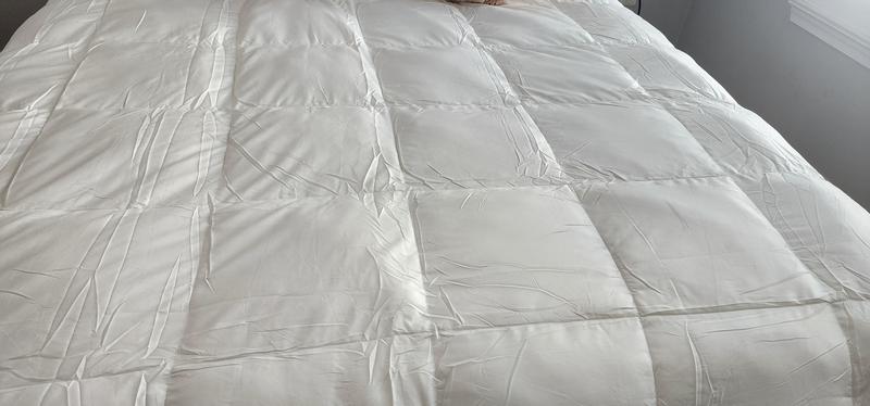 Photo from Order 2 sizes up