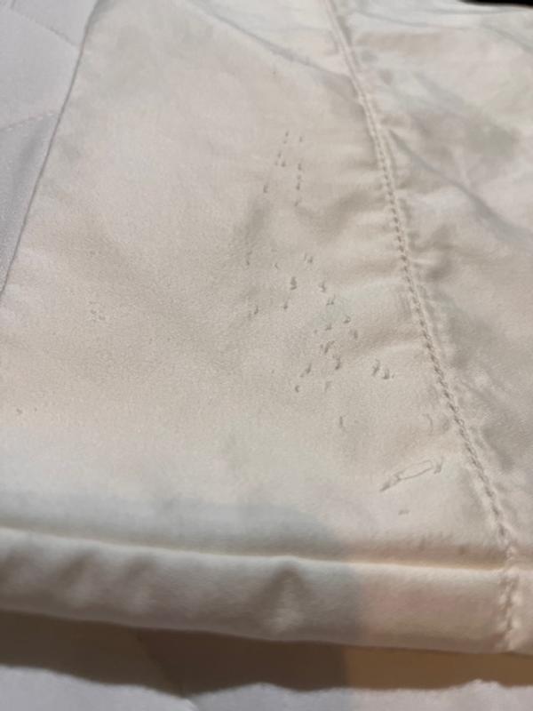 Solid 550 Thread Count 100% Cotton Sheet Sets, Exclusively at Macy’s