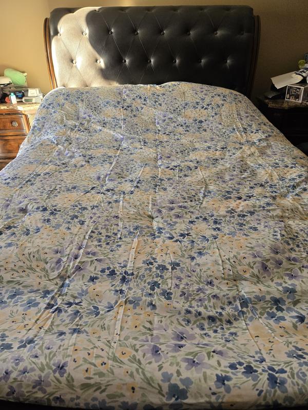 Photo from ReviewingRocks