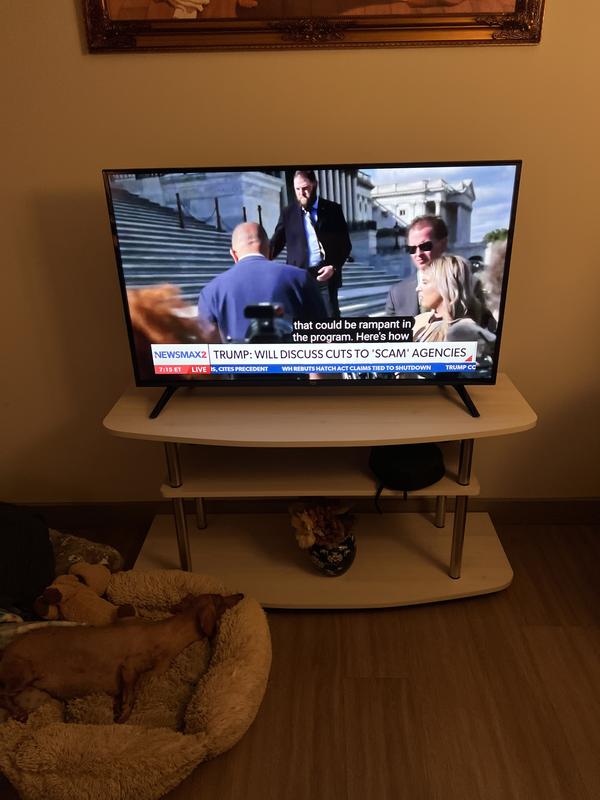 The hot dog likes it, too!