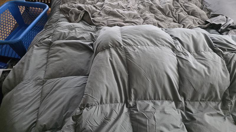 Customer carousel item 2.