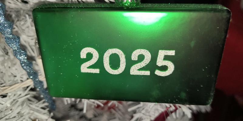 In love with this ornament.