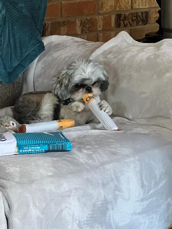 So much fun for all of us