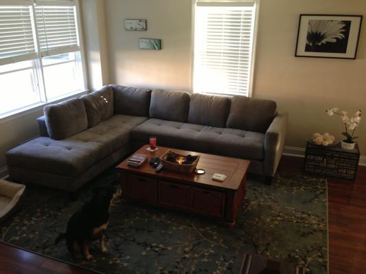 Rylee sectional - great addition to my new home!