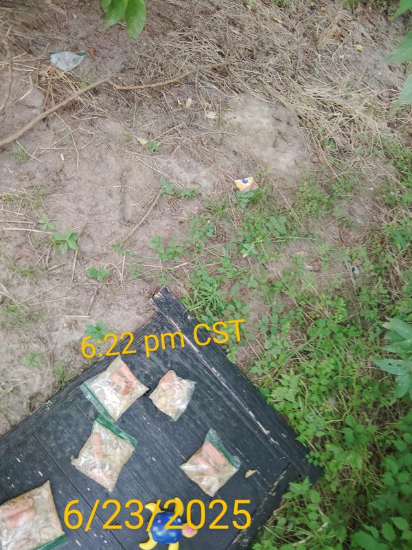 Photo from Ruths Dogs