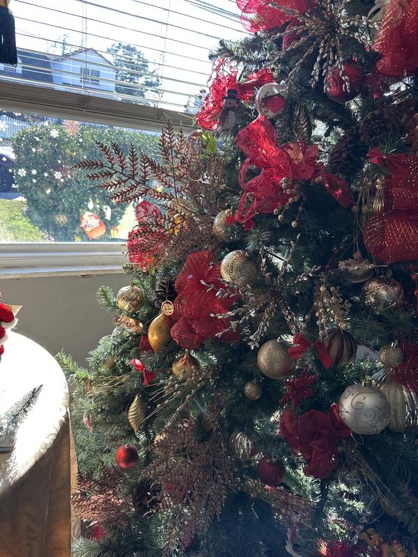 Photo from Evelyn