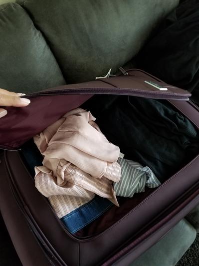 Samsonite agilis luggage online