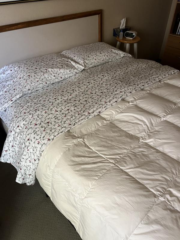 Cardinal Christmas sheets