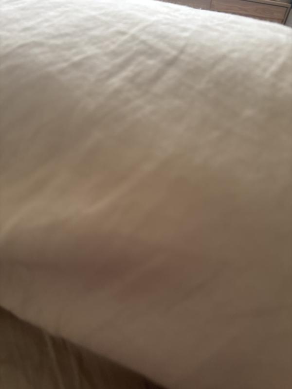 Photo from Jujube