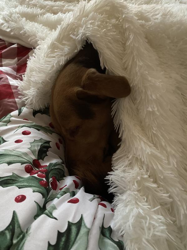 You can kind of see how gorgeous the colors here. Very vibrant!