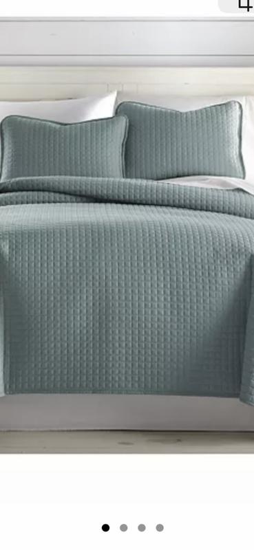 Customer carousel item 2.