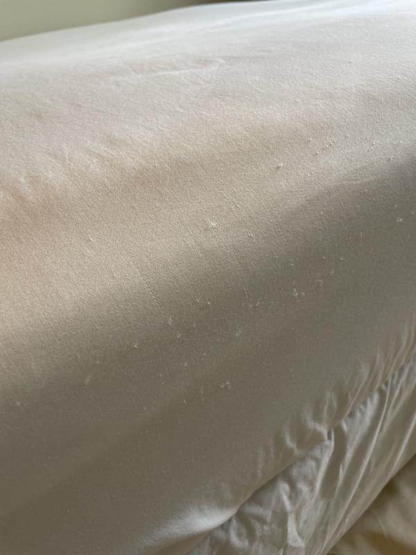 525 Thread Count Egyptian Cotton 4-Pc. Sheet Set, Full, Created for Macy's