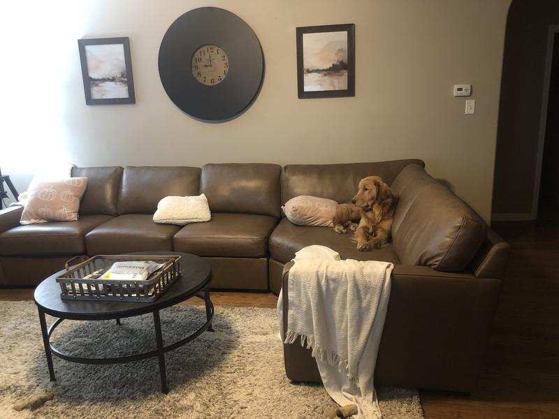 Photo from TwoGoldens