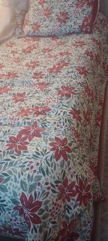 Photo from AlmaZ