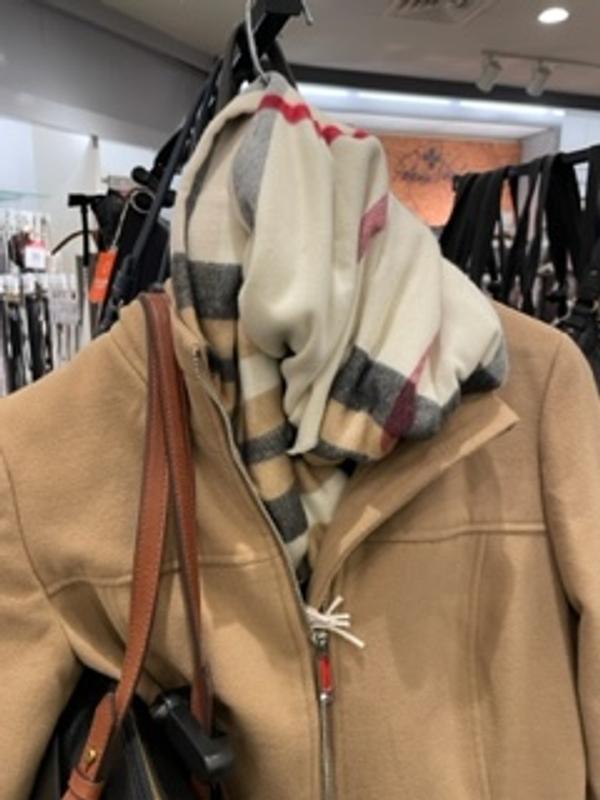 To me this looks like a burberry scarf.  Notice the Fossil purse I found!