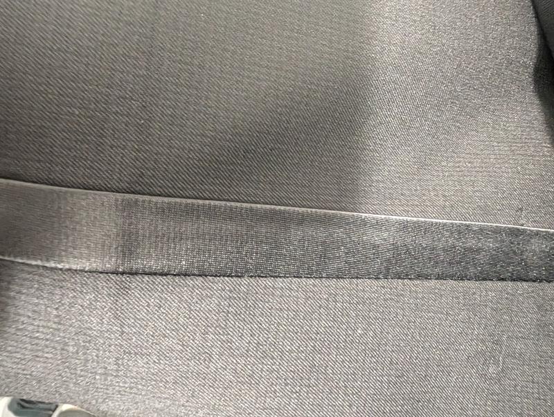 What Tuxedo Stripe SHOULD look like