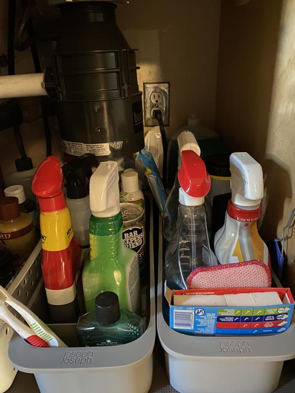 2 bins for kitchen sink