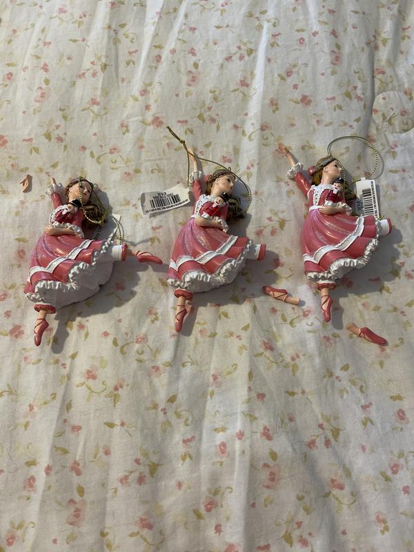 Customer carousel item 12.