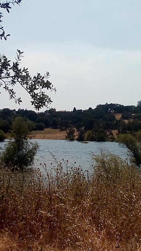 Photo from Diggs