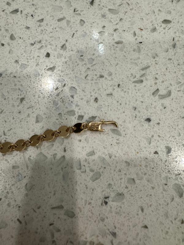 Customer photo for "Beautiful but didn’t last"