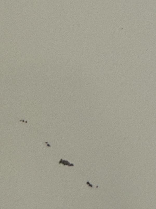 Small chips in the ceramic coating