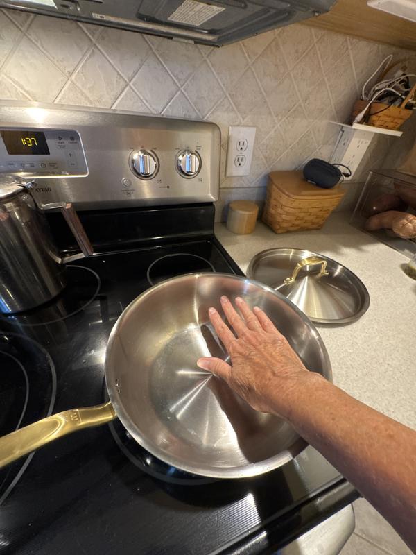 My hand next to pot so you can see how large it is.