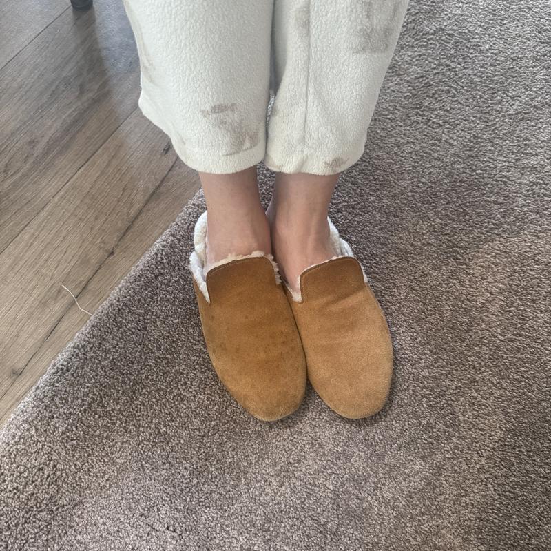 Review Thumbnail Image 0 256365069