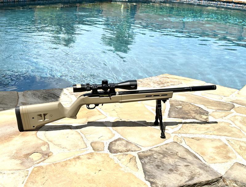 Updated Ruger 10-22