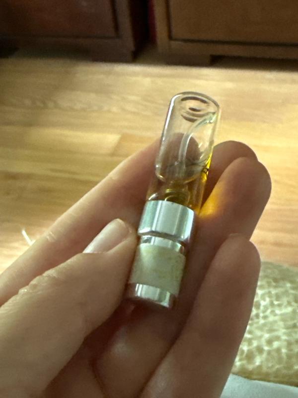 Shop Mutiny EAU DE PARFUM |Unisex Perfume | Maison Margiela