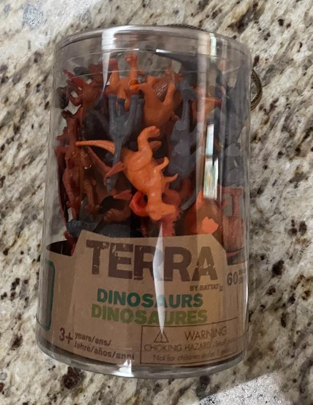 Terra by Battat 60 figuras de dinosaurios – Mini figuras de animales de  plástico surtidas para niños mayores de 3 años – Suministros y decoraciones